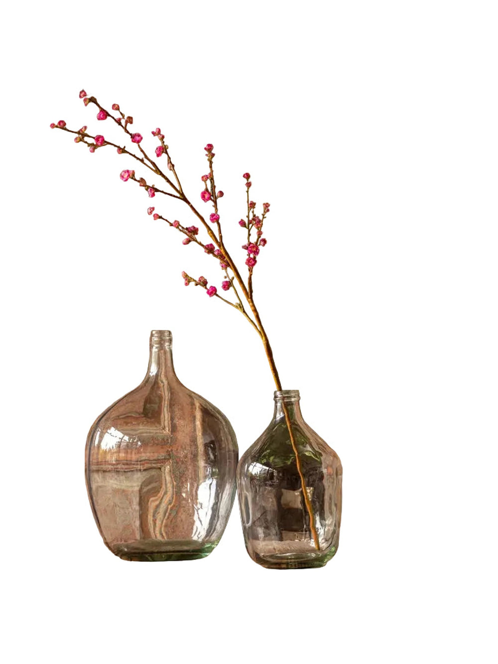 Blossom Branch | Plum
