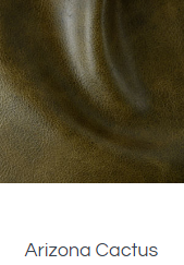 Brooklyn Swivel | Arizona Cactus