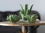 Blooming Artichoke