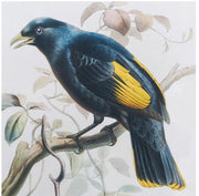 Bird Artwork w/Mirror Frame