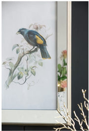 Bird Artwork w/Mirror Frame
