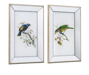 Bird Artwork w/Mirror Frame