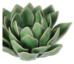 Blooming Artichoke