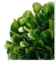 Faux Boxwood Boxed Topiary