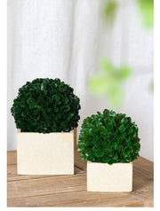 Faux Boxwood Boxed Topiary