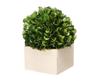 Faux Boxwood Boxed Topiary