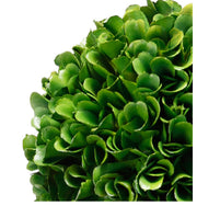 Artificial Boxwood Topiary in Plant Pot |Green & White