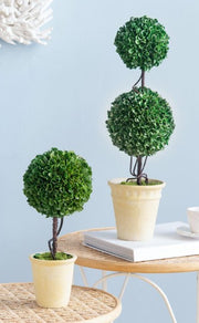 Artificial Boxwood Topiary in Plant Pot |Green & White