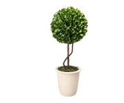 Artificial Boxwood Topiary in Plant Pot |Green & White