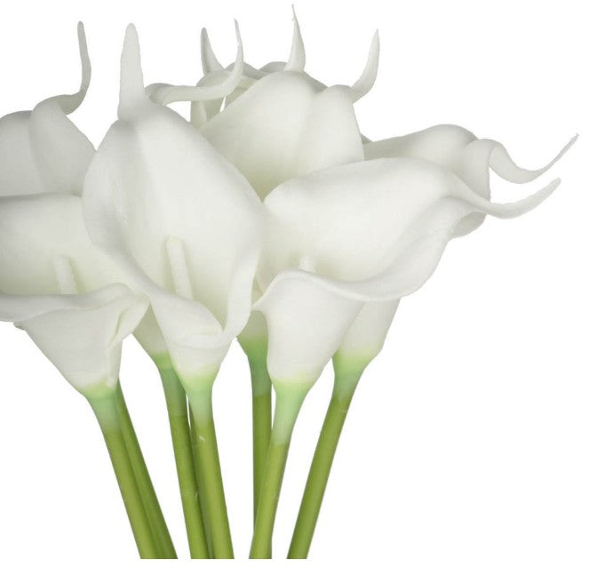 9Pcs/Bunch Calalily | White