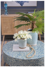 9Pcs/Bunch Calalily | White