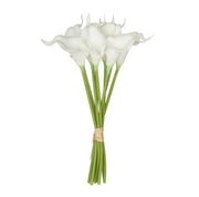 9Pcs/Bunch Calalily | White
