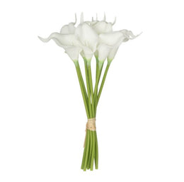 9Pcs/Bunch Calalily | White