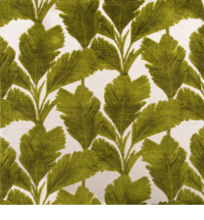 Colony Palm TP