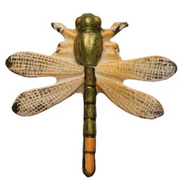 Dragonfly | Multi Color