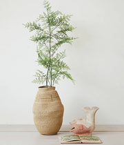 Terra-Cotta Fish Shaped Container