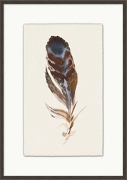 Watercolor Feather 1