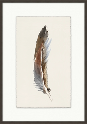 Watercolor Feather 2
