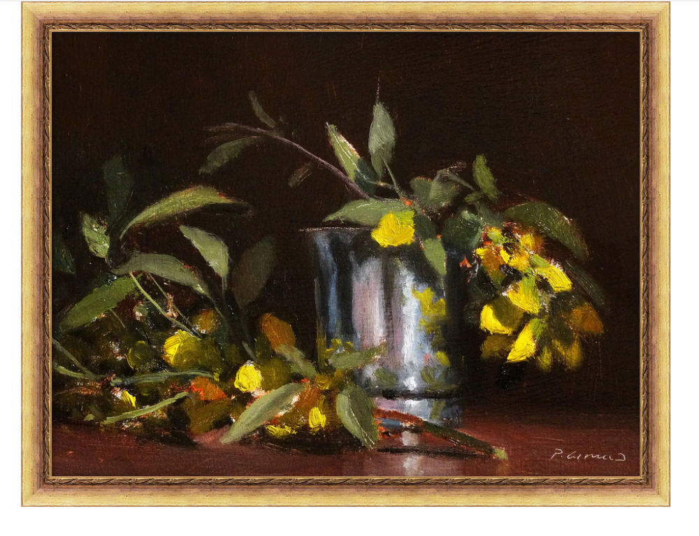 Fleurs Cytise