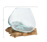 Glass Planter/Vase on Natural Wood Base