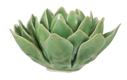 Blooming Artichoke