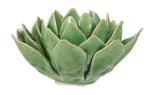 Blooming Artichoke