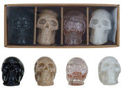 Boxed Set of 4 Resin Skulls
