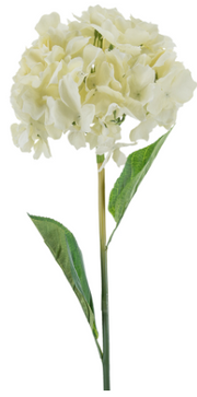 Hydrangea Stem w/Leaves | Cream
