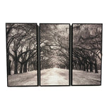 Nature's Arch Triptych