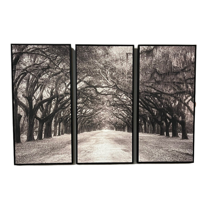Nature's Arch Triptych