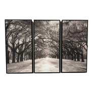 Nature's Arch Triptych