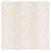 Joni Natural w/Welt 21