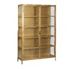 Glass & Iron 2 DR Cabinet