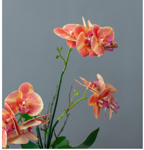 Real Touch Orchid