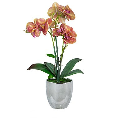 Real Touch Orchid