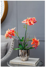 Real Touch Orchid
