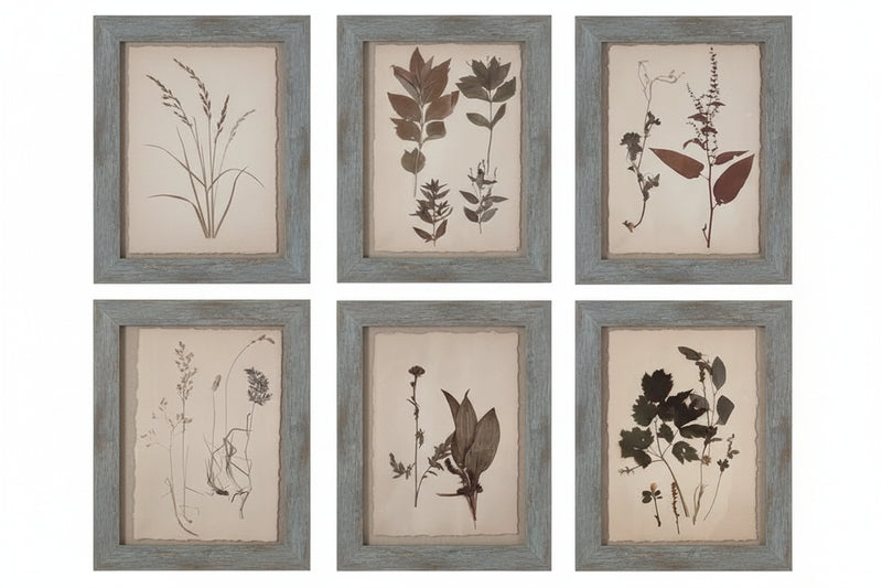 Dried Botanical Prints