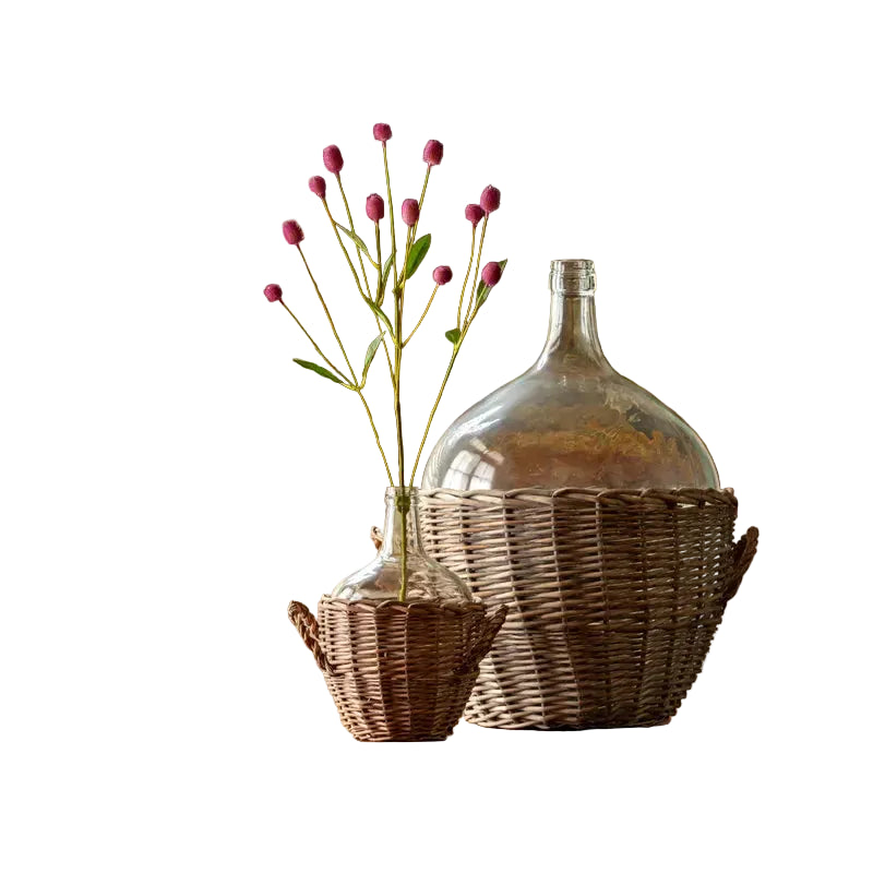 Gomphrena | Purple