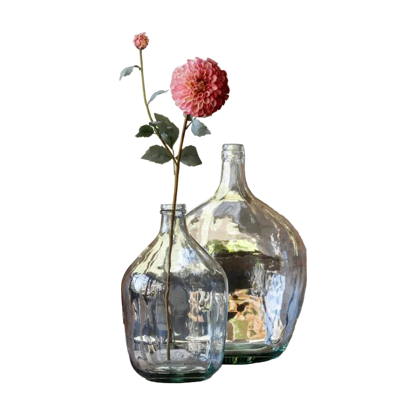 French Border Dahlia | Pink