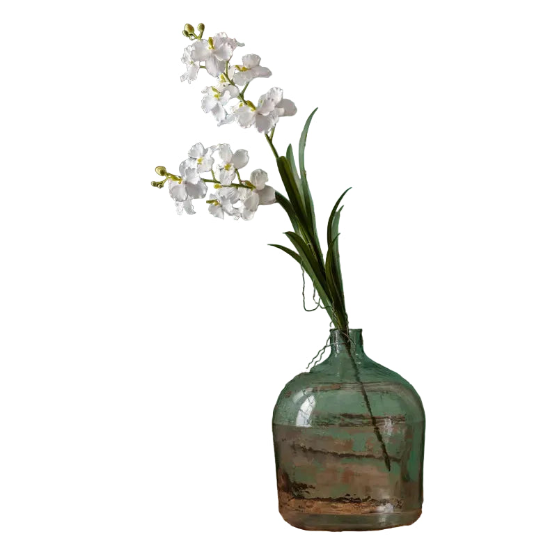 Vanilla Orchid Double Stem