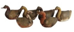 Wooden Ducks