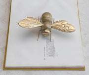 Resin Gold Bee