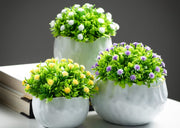 LG Scalloped Organic Edge Bowl