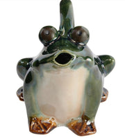 Stoneware Frog Watering Pitcher