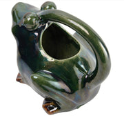 Stoneware Frog Watering Pitcher