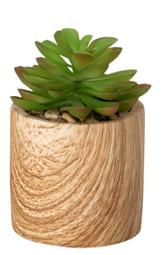 SM. Wooden Potted Succulent