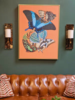 Sawyer Tortoise Sconce