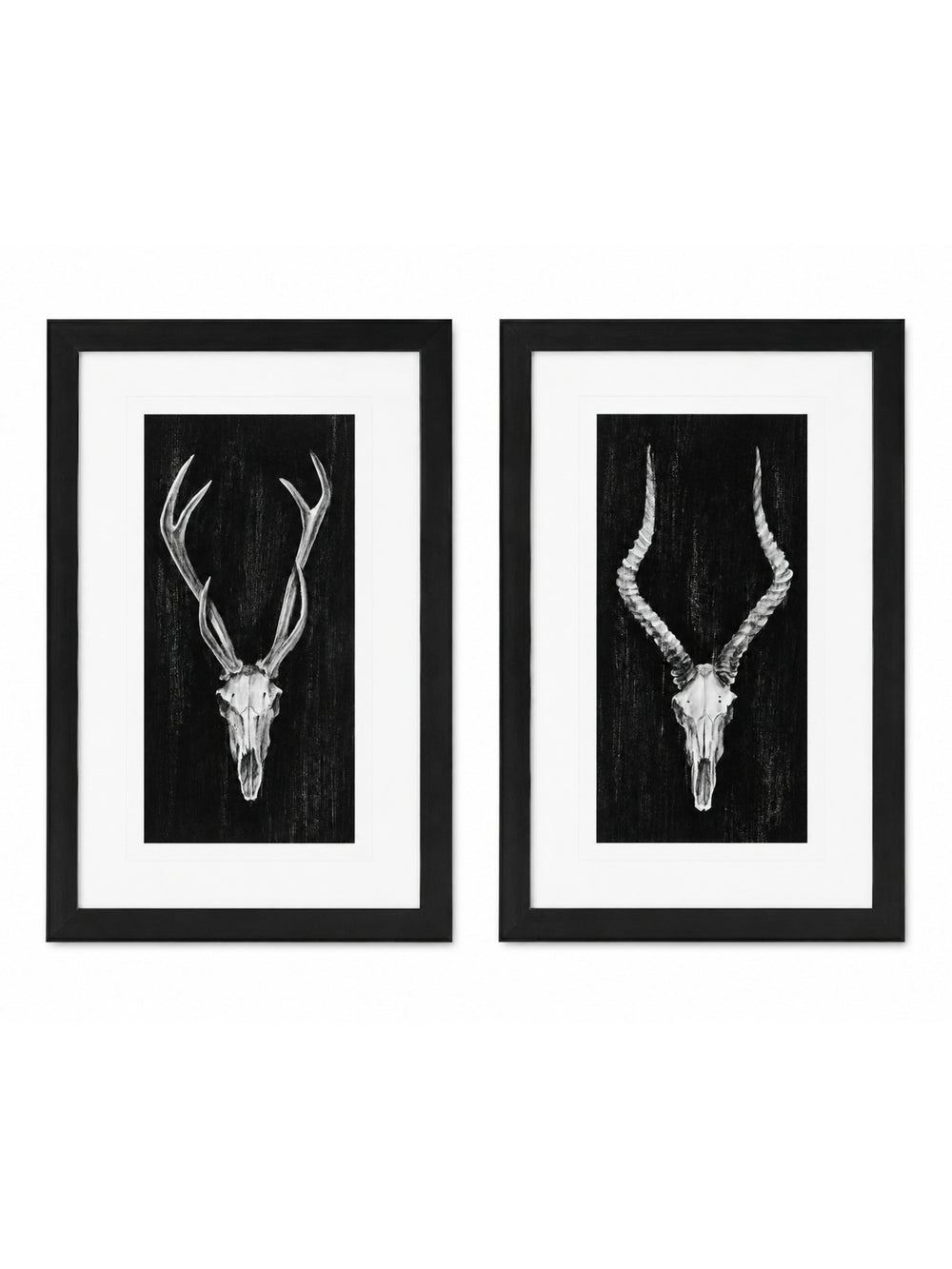 Set Of Rustic European Skull Art