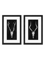 Set Of Rustic European Skull Art