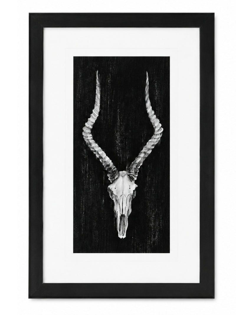 Set Of Rustic European Skull Art